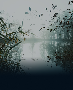 Wetlands Restoration